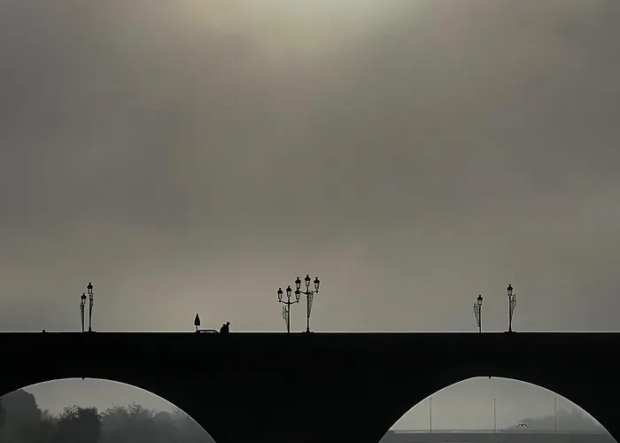 La Taniere Au Chant Des Oiseaux